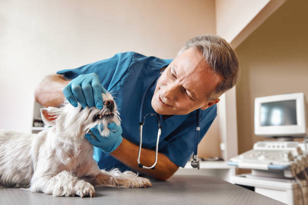 Best Emergency Dental Extractions in Warrenton, OR